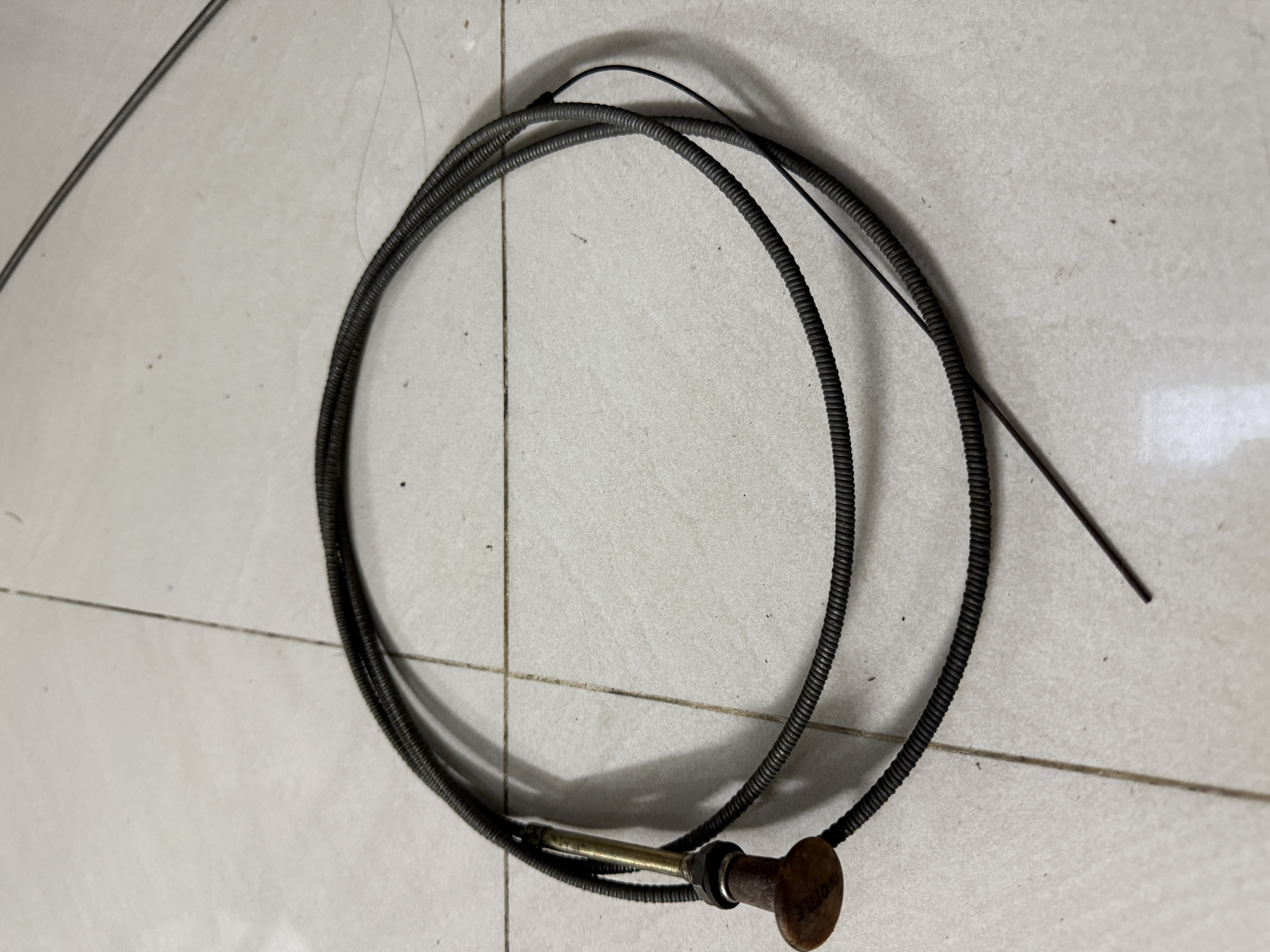 Dây E mỹ